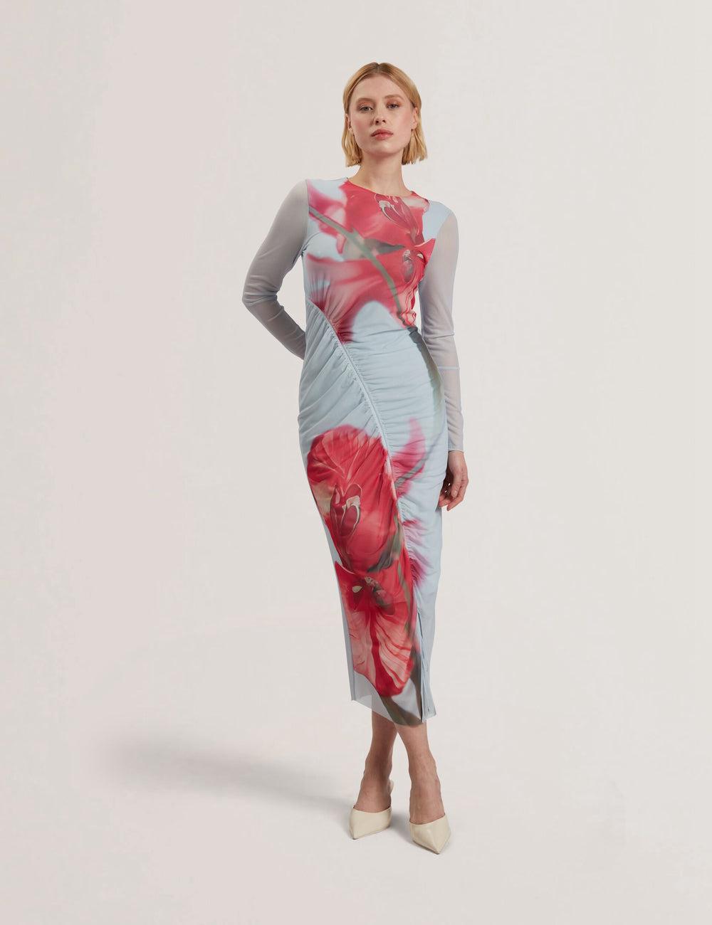Blue Ted Baker BOXNINE - Printed Mesh Gathering Bodycon Women Midi Dresses | Canada  GZN-641207