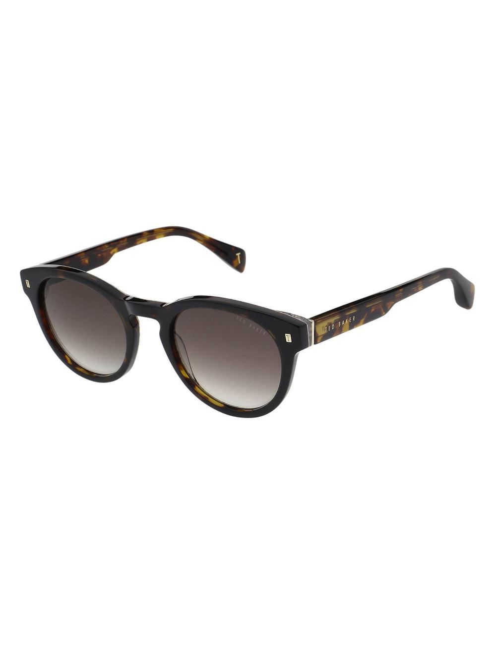 Brown Ted Baker DAX - Round Chunky Temple Men Sunglasses | Canada  QDV-154630