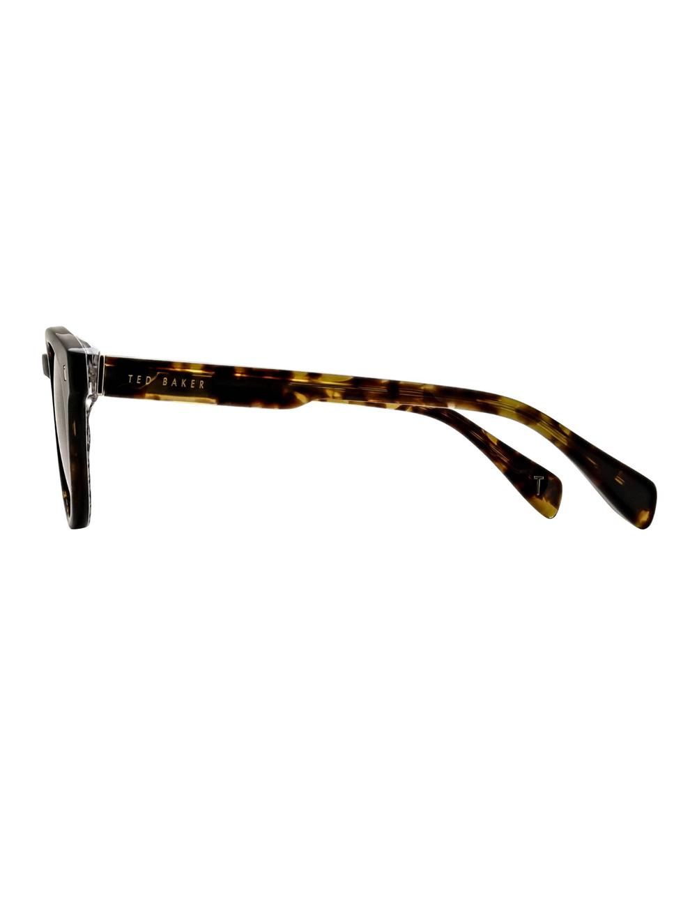 Brown Ted Baker DAX - Round Chunky Temple Men Sunglasses | Canada  QDV-154630