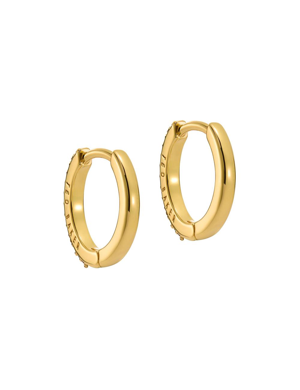 Multicol Ted Baker HEPLIE - Crystal Huggie Hoop Women Earrings | Canada  HUN-157348